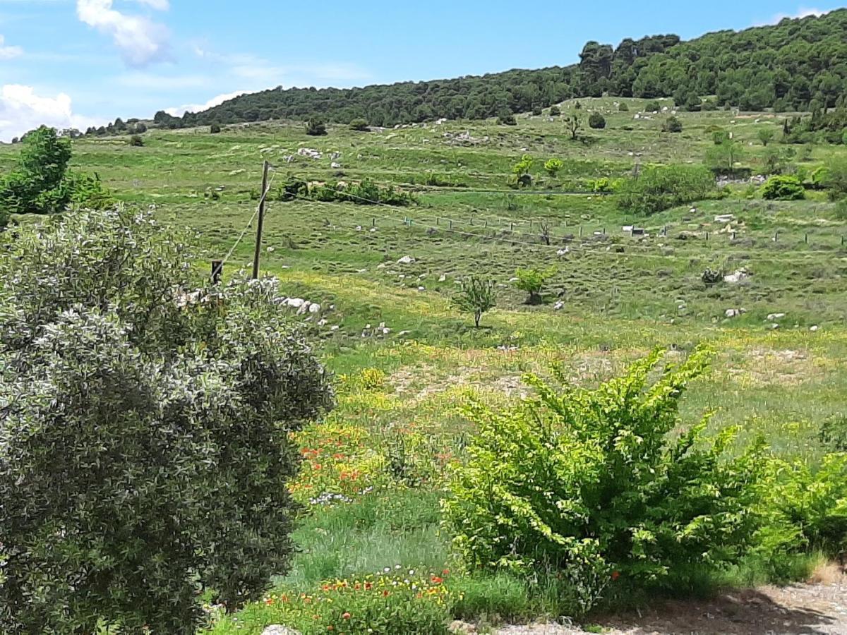 Casa Rural "Eccehomo De Borja" المظهر الخارجي الصورة