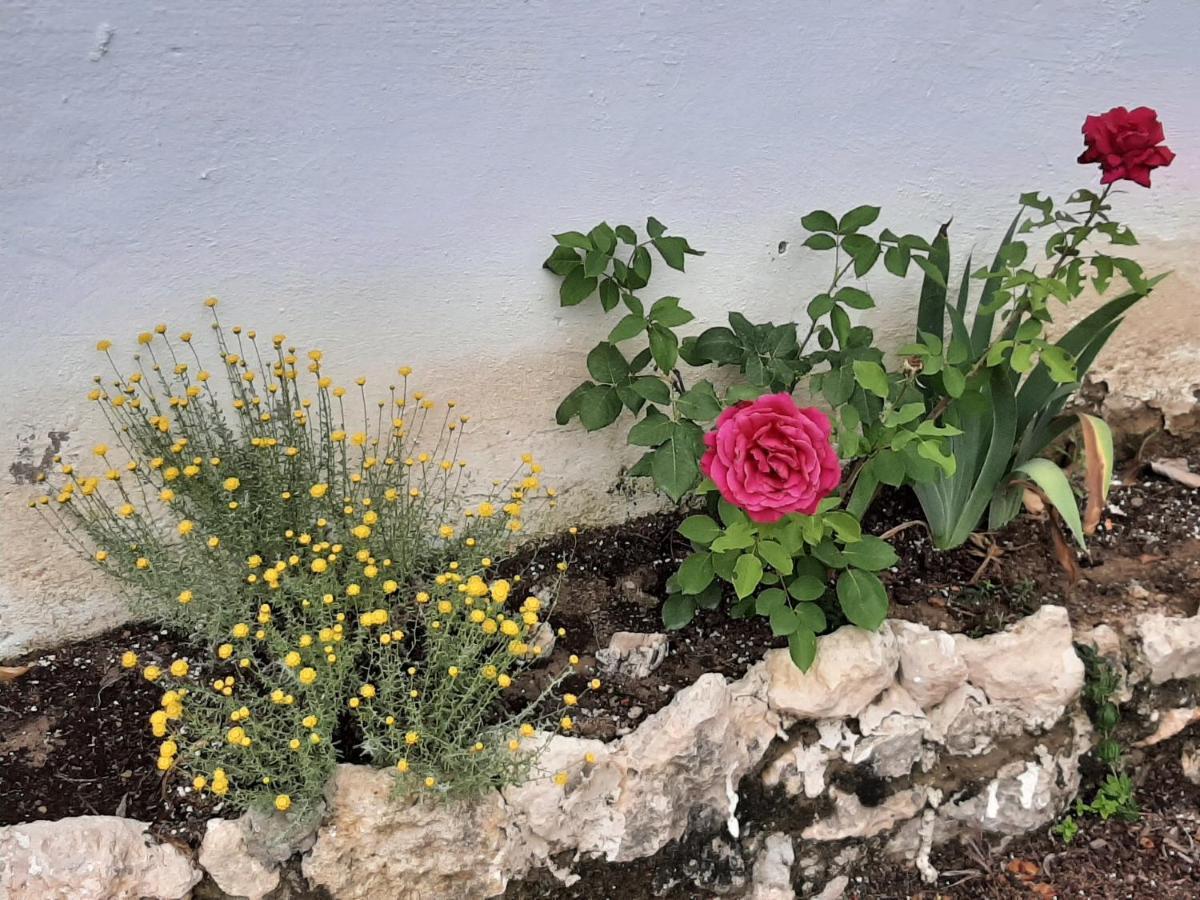 منزل الضيف Casa Rural "Eccehomo De Borja" المظهر الخارجي الصورة