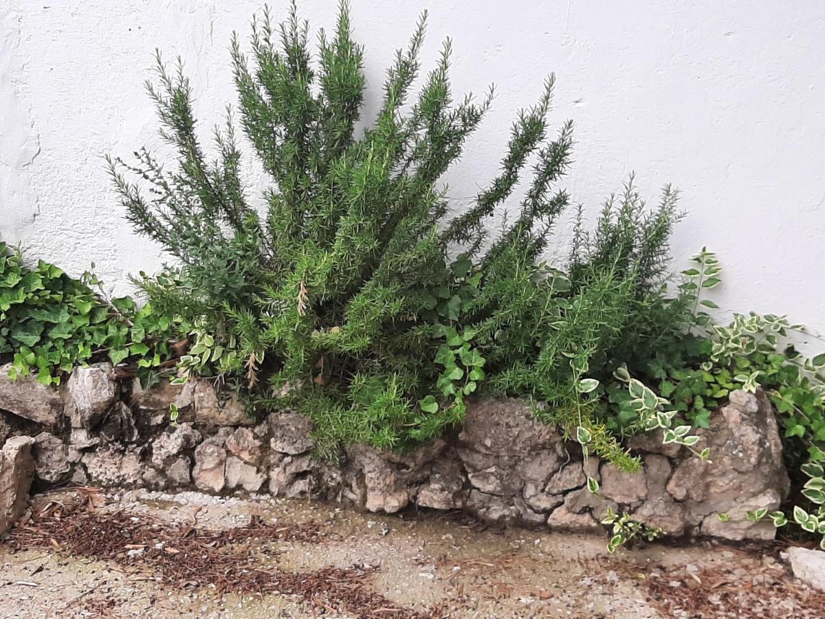 Casa Rural "Eccehomo De Borja" المظهر الخارجي الصورة