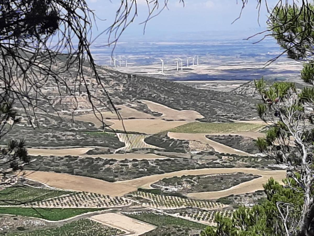 منزل الضيف Casa Rural "Eccehomo De Borja" المظهر الخارجي الصورة