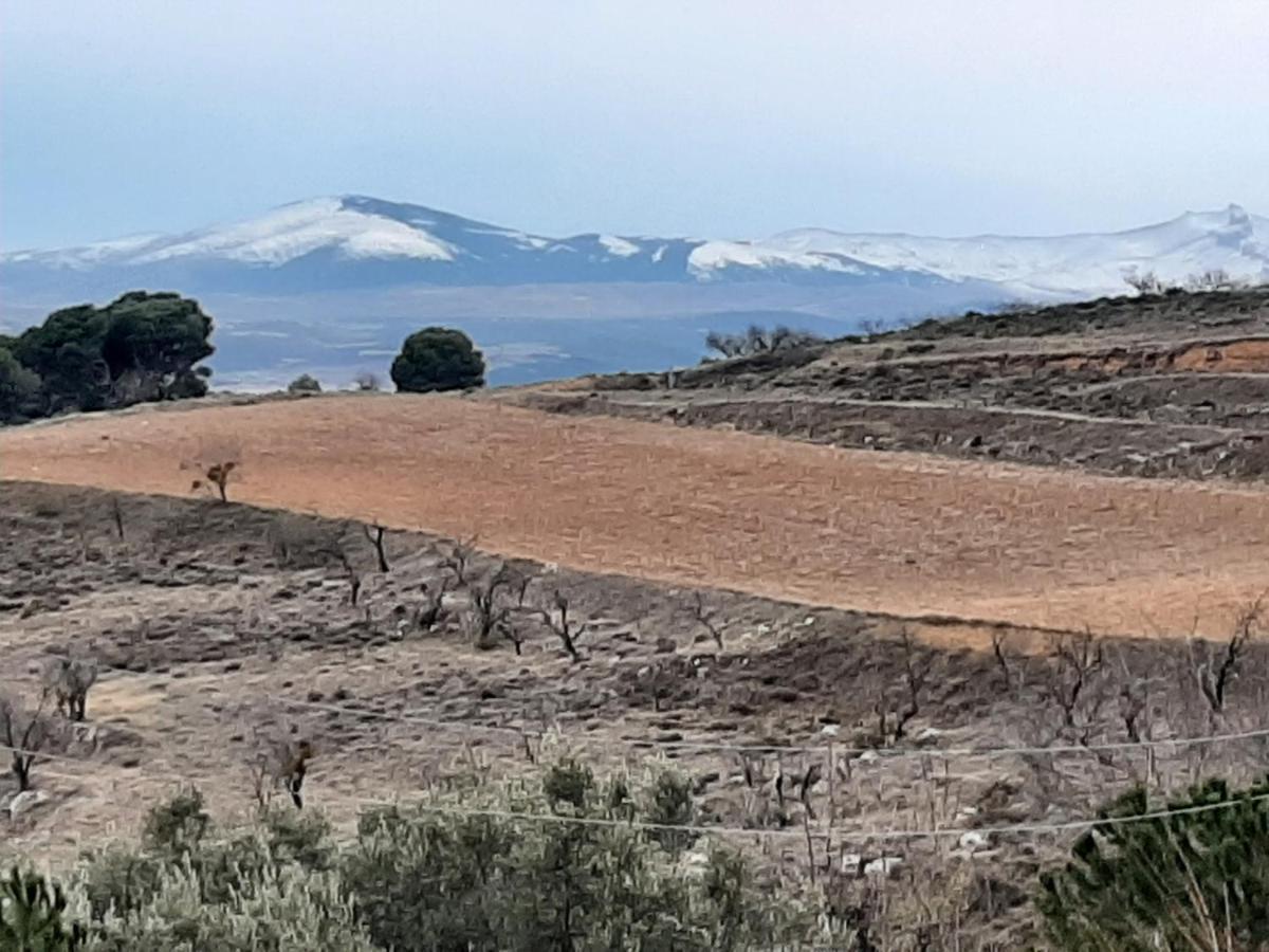 Casa Rural "Eccehomo De Borja" المظهر الخارجي الصورة