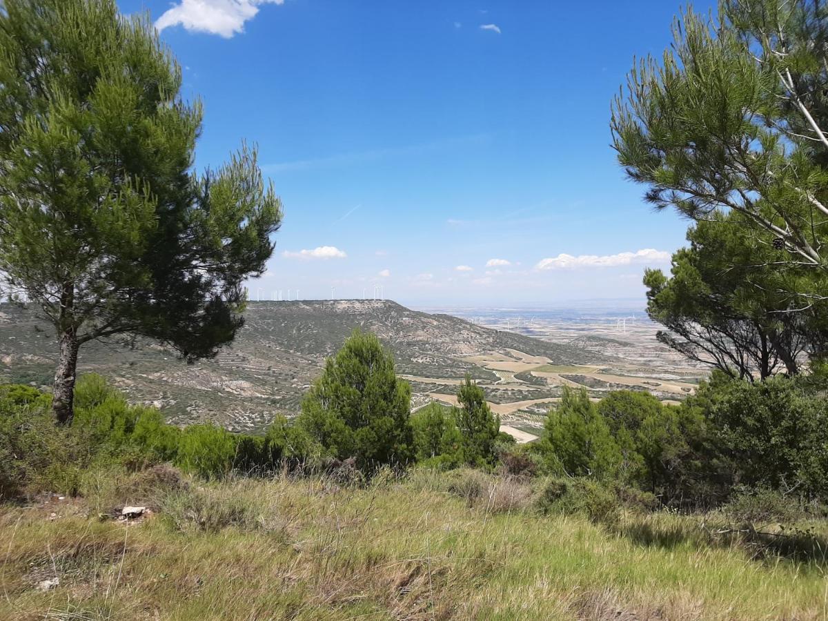 منزل الضيف Casa Rural "Eccehomo De Borja" المظهر الخارجي الصورة